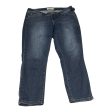 Jeans Straight By Torrid In Blue Denim, Size: 12 Online now