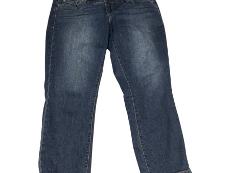 Jeans Straight By Torrid In Blue Denim, Size: 12 Online now