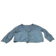 Top Long Sleeve By Free People In Blue, Size: M Online